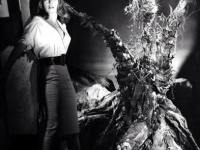 The Day of the Triffids (1962) ⭐⭐⭐⭐⭐⭐